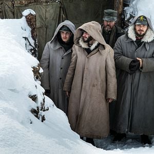 Fotoğraf Her Yer Yeniden Yeşerecek