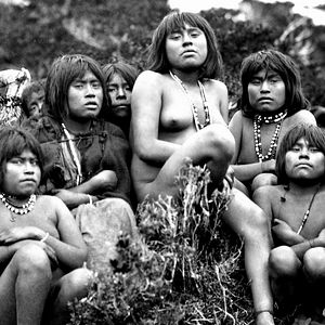 Fotoğraf The Pearl Button