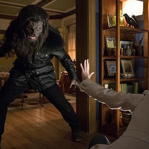 Fotoğraf Arnold Vosloo