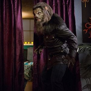 Fotoğraf Arnold Vosloo