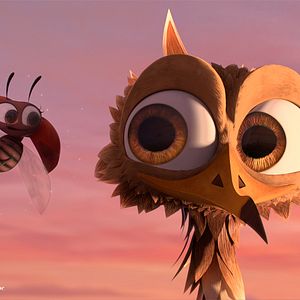 Fotoğraf Minik Kuş