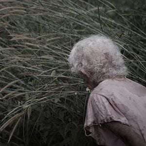 Fotoğraf Vanishing Point