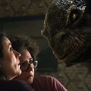 Fotoğraf Frog Stone