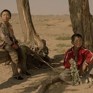 Fotoğraf Jia Zai Shui Cao Feng Mao De Di Fang