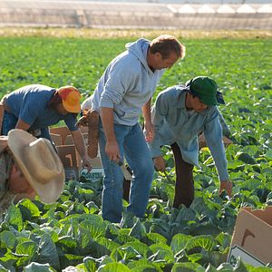 Fotoğraf Kevin Costner