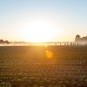 Fotoğraf McFarland, USA
