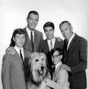 Fotoğraf My Three Sons