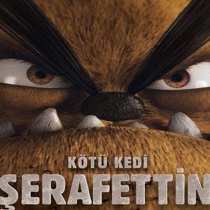 Fotoğraf Kötü Kedi Şerafettin