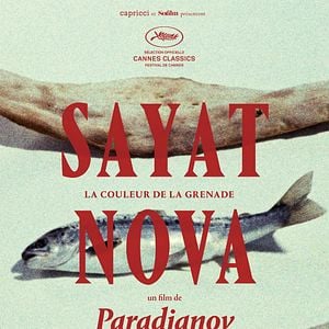 Fotoğraf Narın Rengi