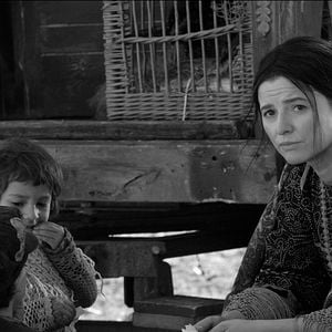 Fotoğraf Jowita Budnik