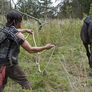 Fotoğraf Norman Reedus
