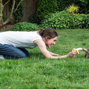 Fotoğraf Keira Knightley