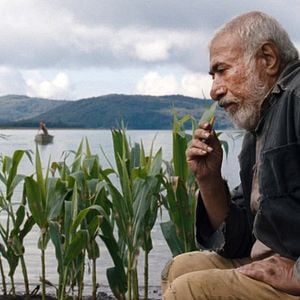 Fotoğraf Mısır Adası