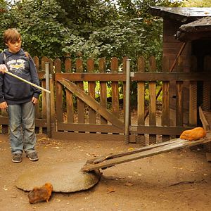 Fotoğraf Peter Trabner