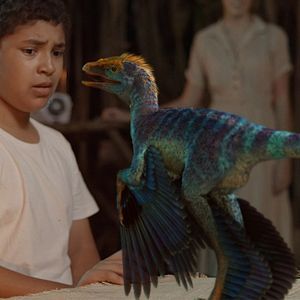 Fotoğraf Darius Williams