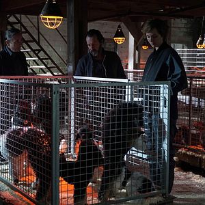 Fotoğraf Je suis un soldat