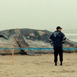 Fotoğraf Binbir Gece: Bölüm 1, Huzursuz Adam