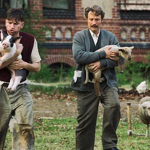 Fotoğraf Men and Chicken