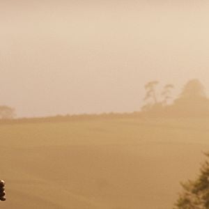 Fotoğraf Çılgın Kalabalıktan Uzak