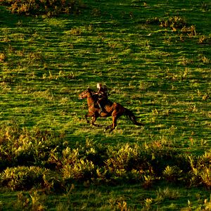 Fotoğraf Çılgın Kalabalıktan Uzak