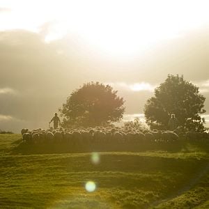 Fotoğraf Çılgın Kalabalıktan Uzak