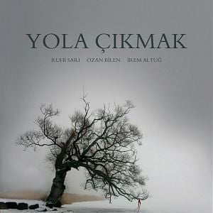 Fotoğraf Yola Çıkmak