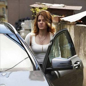 Fotoğraf Kertenkele