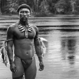 Fotoğraf El abrazo de la serpiente