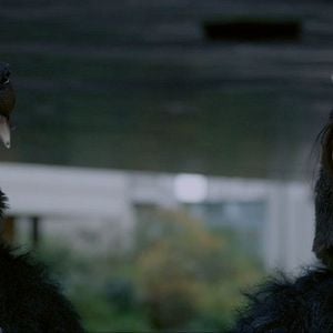 Fotoğraf Nina Meurisse