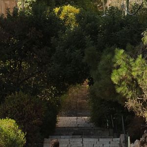 Fotoğraf Hayored Lema'ala