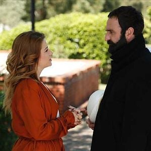 Fotoğraf Kertenkele