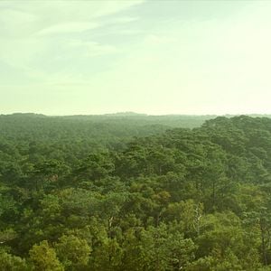 Fotoğraf İlk Güreşte Aşk