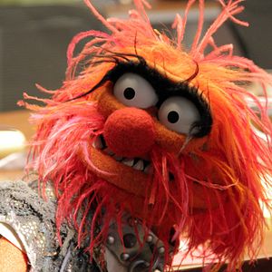 Fotoğraf The Muppets