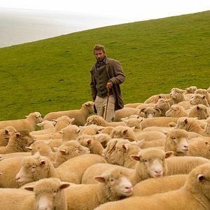 Fotoğraf Çılgın Kalabalıktan Uzak