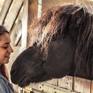 Fotoğraf Almila Bağrıaçık