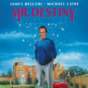 Fotoğraf Mr Destiny