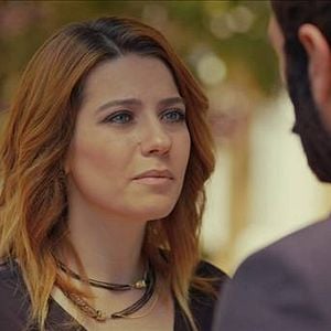 Fotoğraf Kertenkele