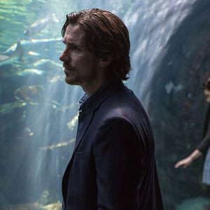 Fotoğraf Knight of Cups