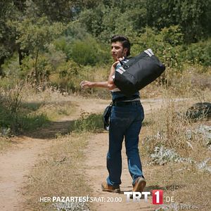 Fotoğraf Yeşil Deniz