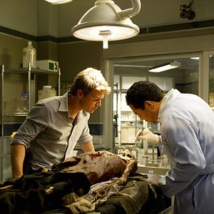 Fotoğraf The Glades