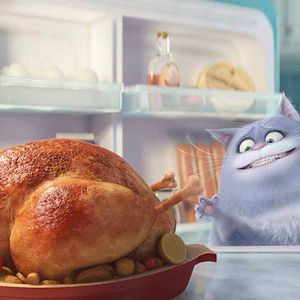 Fotoğraf Evcil Hayvanların Gizli Yaşamı