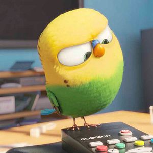 Fotoğraf Evcil Hayvanların Gizli Yaşamı