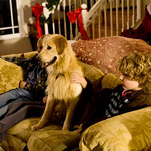 Fotoğraf A Christmas Wedding Tail