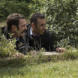 Fotoğraf Kertenkele