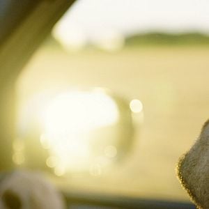 Fotoğraf Robert Finster