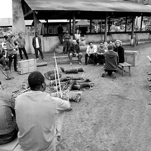 Fotoğraf Palmeras en la nieve
