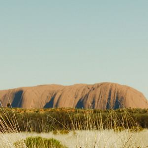 Fotoğraf Damon Gameau