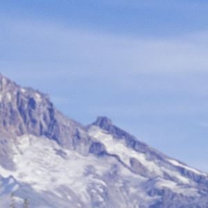 Fotoğraf Damon Gameau