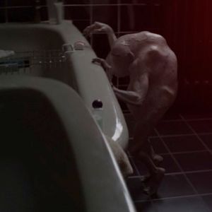 Fotoğraf Der Nachtmahr