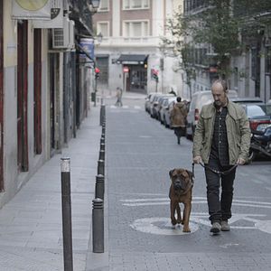 Fotoğraf Javier Cámara